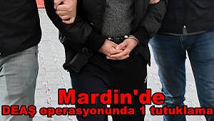 Mardin'de DEAŞ operasyonunda 1 tutuklama