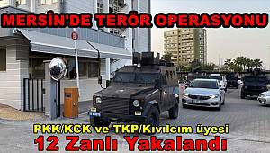 Mersin'de terör örgütü operasyonunda 10 zanlı yakalandı