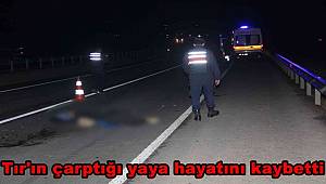 Tekirdağ’da karayolunda yürüyen yayaya tır çarptı, şahıs hayatını kaybetti