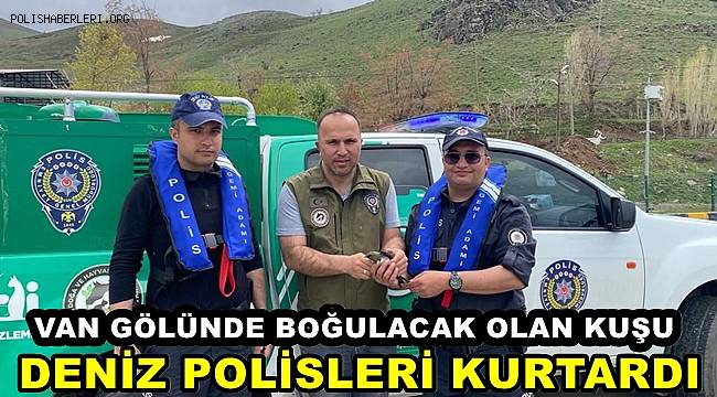 Van'da Boğulacak Olan Kuşu Emniyet Ekipleri Kurtardı