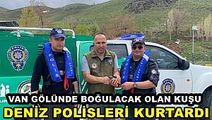 Van'da Boğulacak Olan Kuşu Emniyet Ekipleri Kurtardı