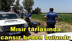 Adana'da mısır tarlasında cansız erkek bedeni bulundu