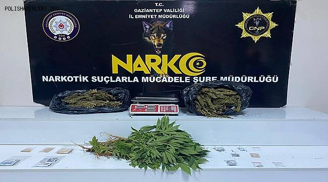 Gaziantep'te 3 kilo esrar ile 41 kök kenevir ele geçirildi 