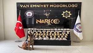 Hassas Burun Zeyna ile Uyuşturucu Operasyonu