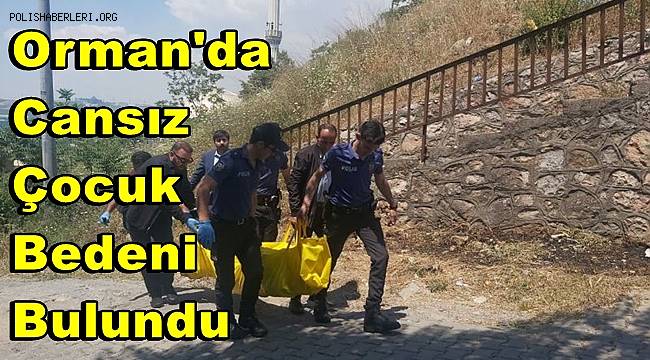 Kocaeli’de ormanlık alanda cansız çocuk bedeni bulundu