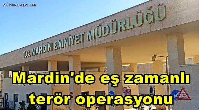 Mardin'de eş zamanlı terör operasyonu, 9 gözaltı 