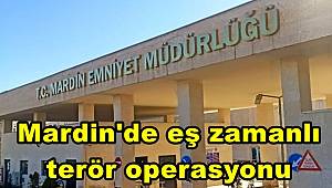 Mardin'de eş zamanlı terör operasyonu, 9 gözaltı 