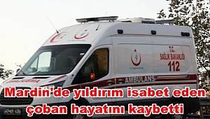 Mardin'de yıldırım isabet eden çoban hayatını kaybetti
