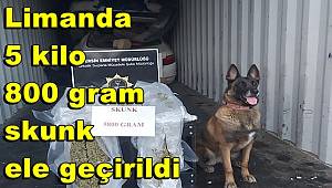 Mersin Limanı'nda 5 kilo 800 gram skunk ele geçirildi