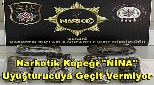 Narkotik köpek Nina geçit vermedi, 7 kilo uyuşturucu ele geçirildi 