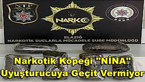 Narkotik köpek Nina geçit vermedi, 7 kilo uyuşturucu ele geçirildi