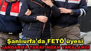 Şanlıurfa'da FETÖ üyesi jandarma tarafından yakalandı