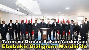 Tarım ve Orman Bakan Yardımcısı Ebubekir Gizligider Mardin’de