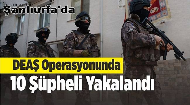 Terör örgütü DEAŞ operasyonunda 10 şüpheli yakalandı