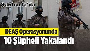 Terör örgütü DEAŞ operasyonunda 10 şüpheli yakalandı