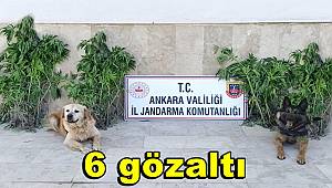 Başkent'te zehir tacirlerine darbe, 6 gözaltı