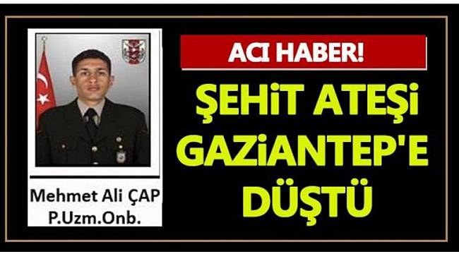 Gaziantep'e Şehit Ateşi Düştü 