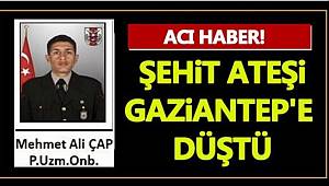 Gaziantep'e Şehit Ateşi Düştü