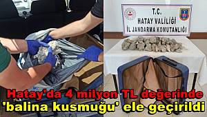 Hatay'da 4 milyon TL değerinde 16 kilogram 'balina kusmuğu' ele geçirildi