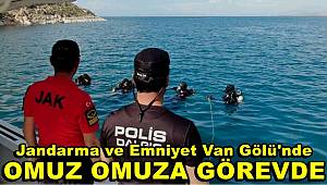 Jandarma ve emniyet Van Gölü'nde omuz omuza görevde