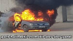 Kızıltepe'de park halindeki otomobil alev alev yandı