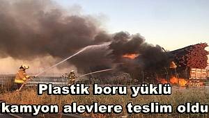 Mardin'de plastik boru yüklü kamyon alevlere teslim oldu