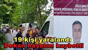 Ordu'da midibüs kaza yaptı, Dekan hayatını kaybetti, 19 kişi yaralandı