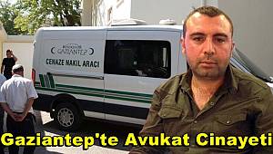 Avukat, kavgada araya giren arkadaşını öldürdü