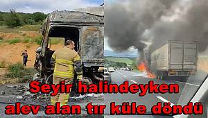 Bursa'da seyir halindeyken alev alan tır küle döndü