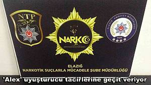 Elazığ'da dedektör köpeği 'Alex' uyuşturucu tacirlerine geçit vermedi, 5 gözaltı 