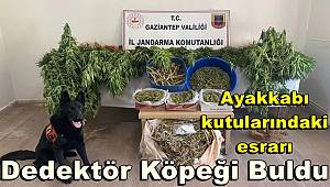 Gaziantep Jandarmadan Ekiplerinden Uyuşturucu Operasyonu
