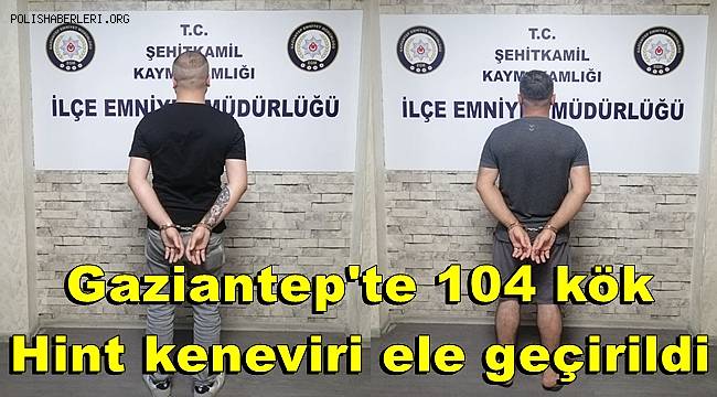 Gaziantep'te 104 kök Hint keneviri ele geçirildi 