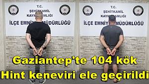 Gaziantep'te 104 kök Hint keneviri ele geçirildi 