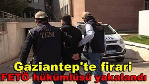 Gaziantep'te, firari FETÖ hükümlüsü yakalandı 