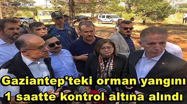 Gaziantep'teki orman yangını 1 saatte kontrol altına alındı 