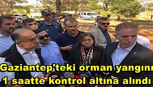 Gaziantep'teki orman yangını 1 saatte kontrol altına alındı 