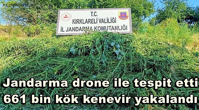 Jandarma drone ile tespit etti, 661 bin kök kenevir yakalandı
