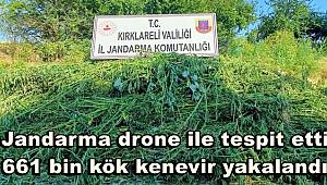 Jandarma drone ile tespit etti, 661 bin kök kenevir yakalandı