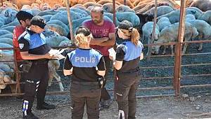 Mersin'de hayvan satıcıları dolandırıcılara karşı bilgilendiriyor 