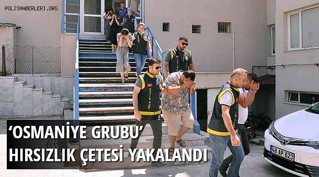 'Osmaniye Grubu' hırsızlık çetesi yakalandı
