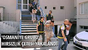 'Osmaniye Grubu' hırsızlık çetesi yakalandı