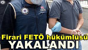Van'da firari FETÖ hükümlüsü yakalandı