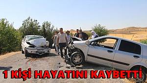 Adıyaman'da iki otomobil çarpıştı, 1 ölü 4 yaralı