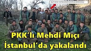 Bakan Soylu duyurdu, PKK’lı Mehdi Mıçı İstanbul’da yakalandı