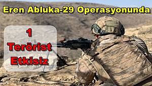 Eren Abluka-29 Operasyonunda 1 Terörist Etkisiz Hale Getirildi
