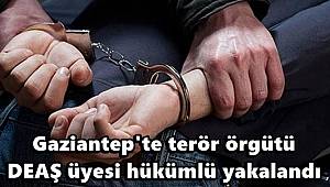 Gaziantep'te terör örgütü DEAŞ üyesi hükümlü yakalandı 