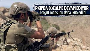 İçişleri Bakanlığı duyurdu, 1 terörist daha ikna yoluyla teslim oldu
