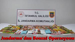 Jandarma’dan bonzai operasyonu 