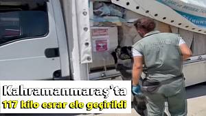 Kahramanmaraş'ta 117 kilo esrar ele geçirildi 