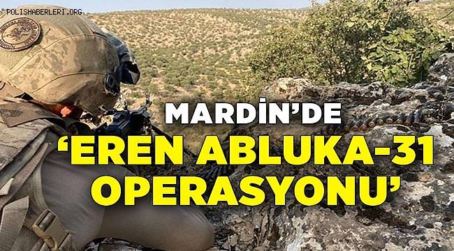 Mardin'de Eren Abluka-31 Operasyonu başladı 